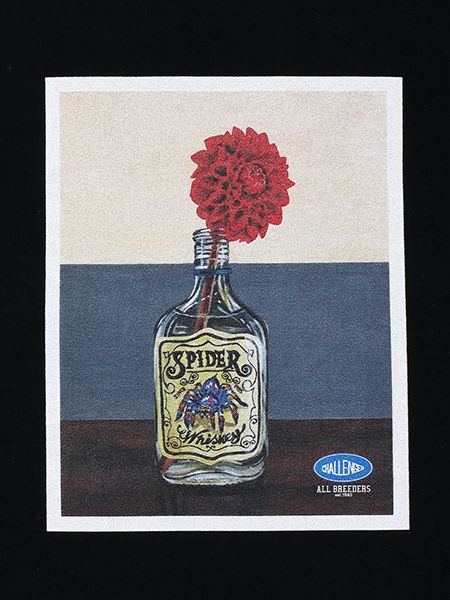 CHALLENGER 2023.2.18 NEW | Fixer News